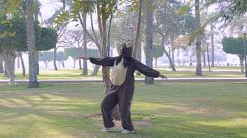 Free download Dance Monkey Music Video [editing] video and edit with RedcoolMedia movie maker MovieStudio video editor online and AudioStudio audio editor onlin